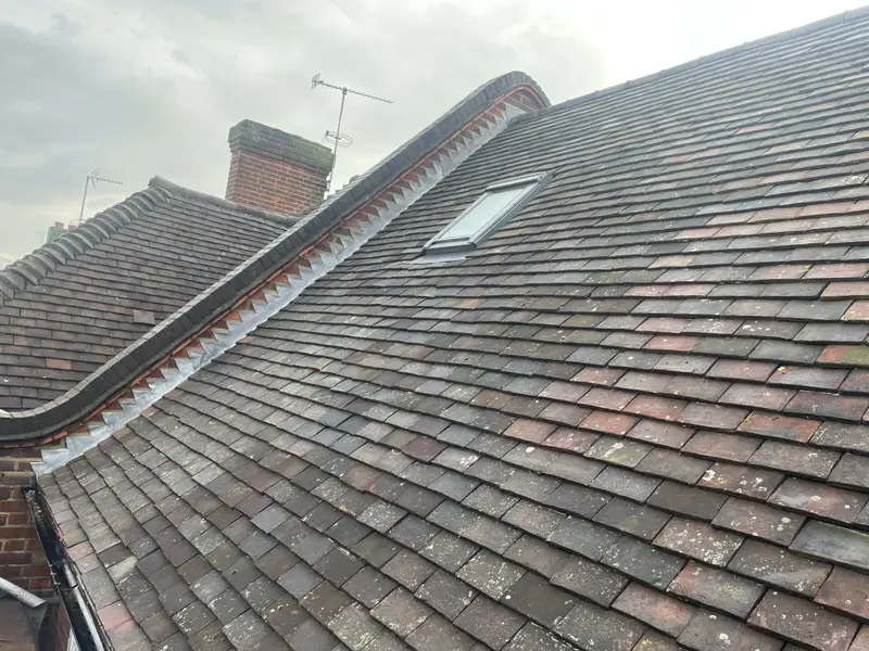 Clay tile roof with a roof window